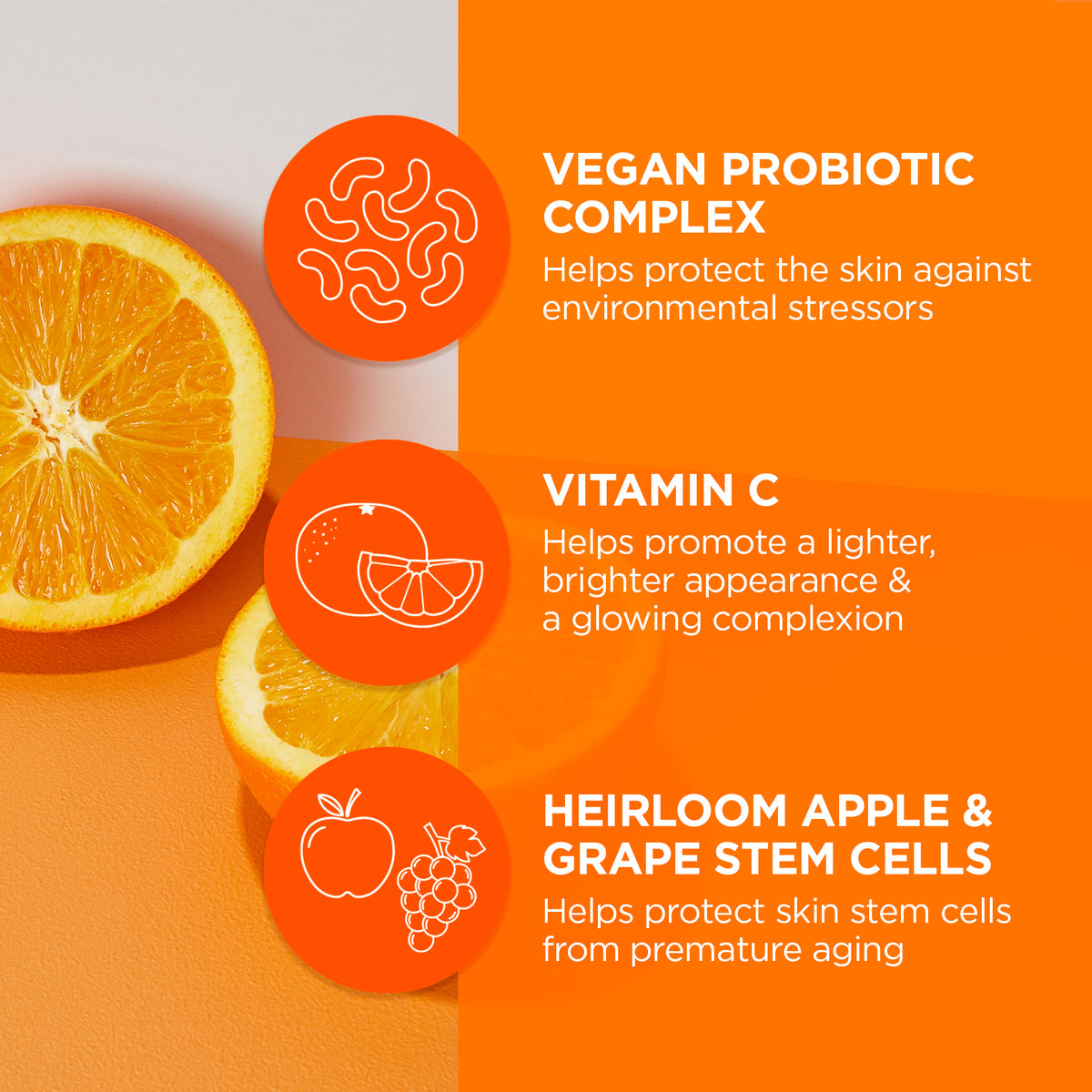 Brightening Probiotic + Vitamin C Renewal Cream - Andalou Naturals US