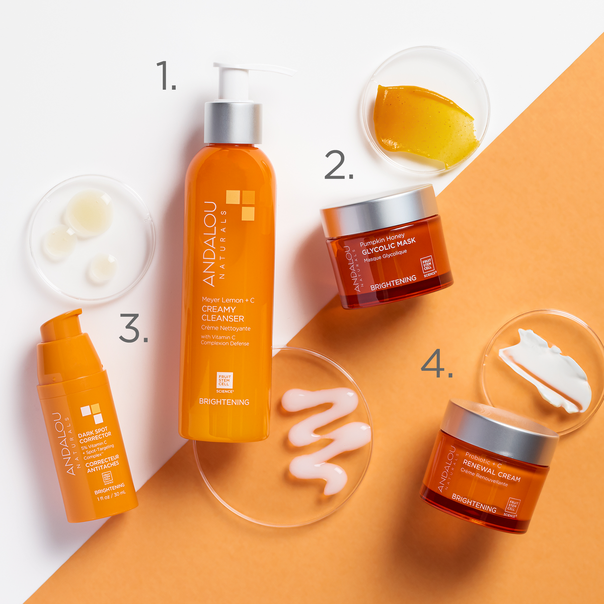 Brightening Probiotic + Vitamin C Renewal Cream - Andalou Naturals US