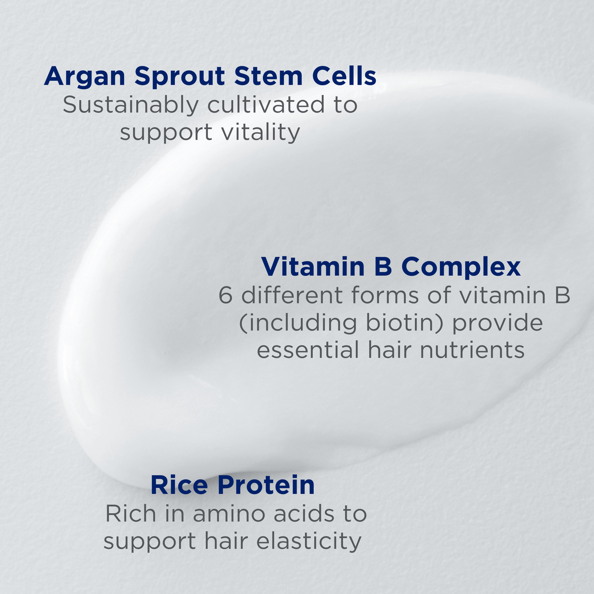 Argan Stem Cell Age Defying Conditioner - Andalou Naturals US
