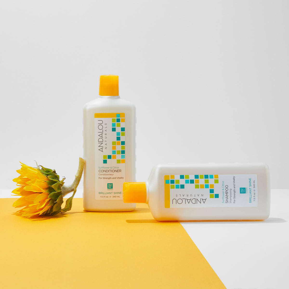 Sunflower & Citrus Brilliant Shine Shampoo - Andalou Naturals US