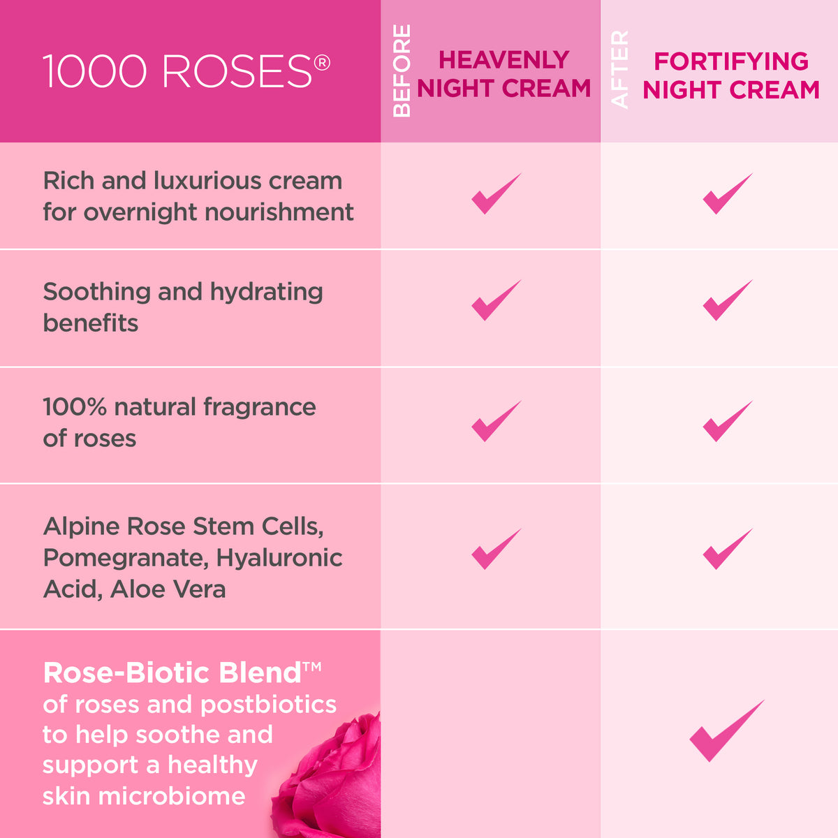 1000 Roses Fortifying Night Cream - Andalou Naturals US