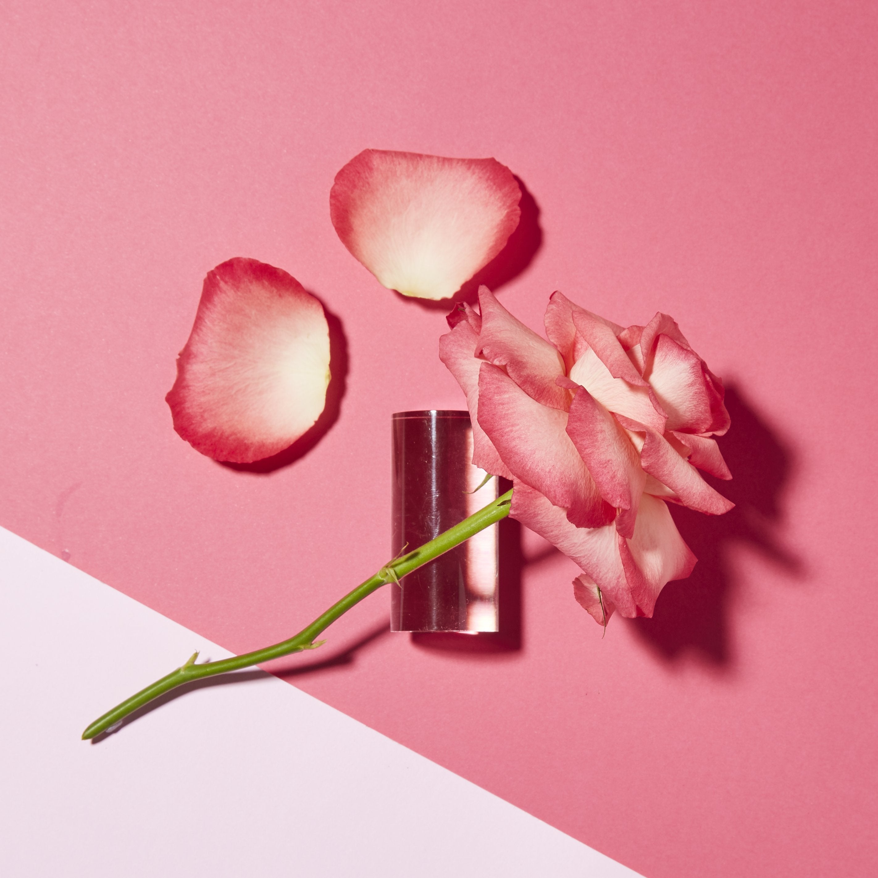 1000 Roses Complex Color Care Shampoo– Andalou Naturals US