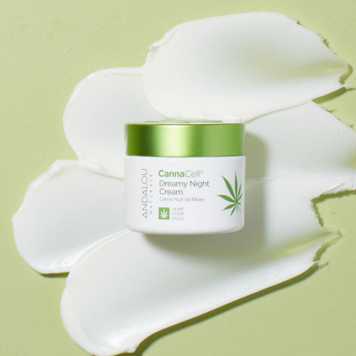 CannaCell Dreamy Night Cream