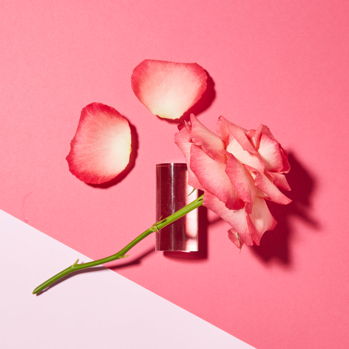 Rose Body Reset Duo - Andalou Naturals US