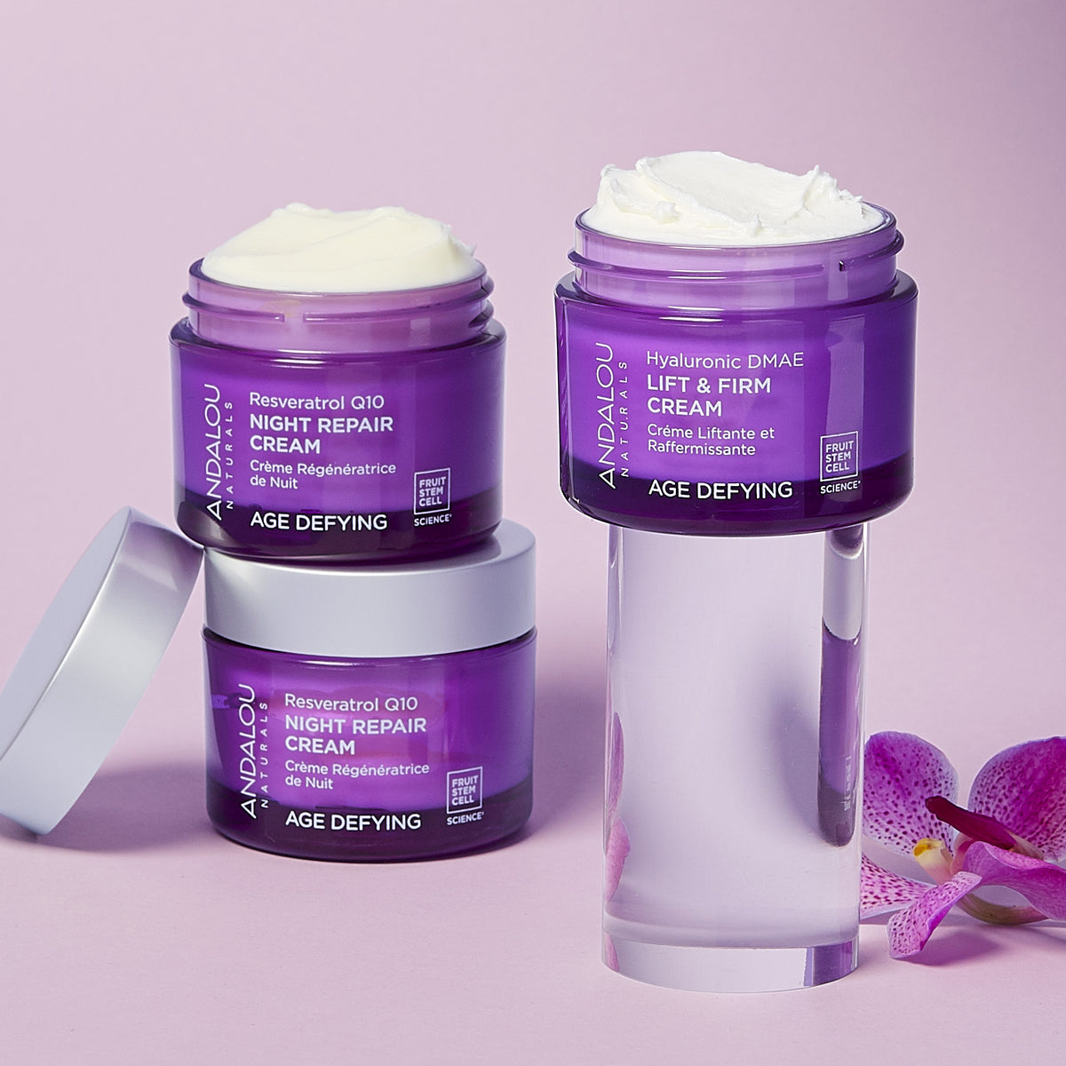Age Defying Day to Night Bundle - Andalou Naturals US