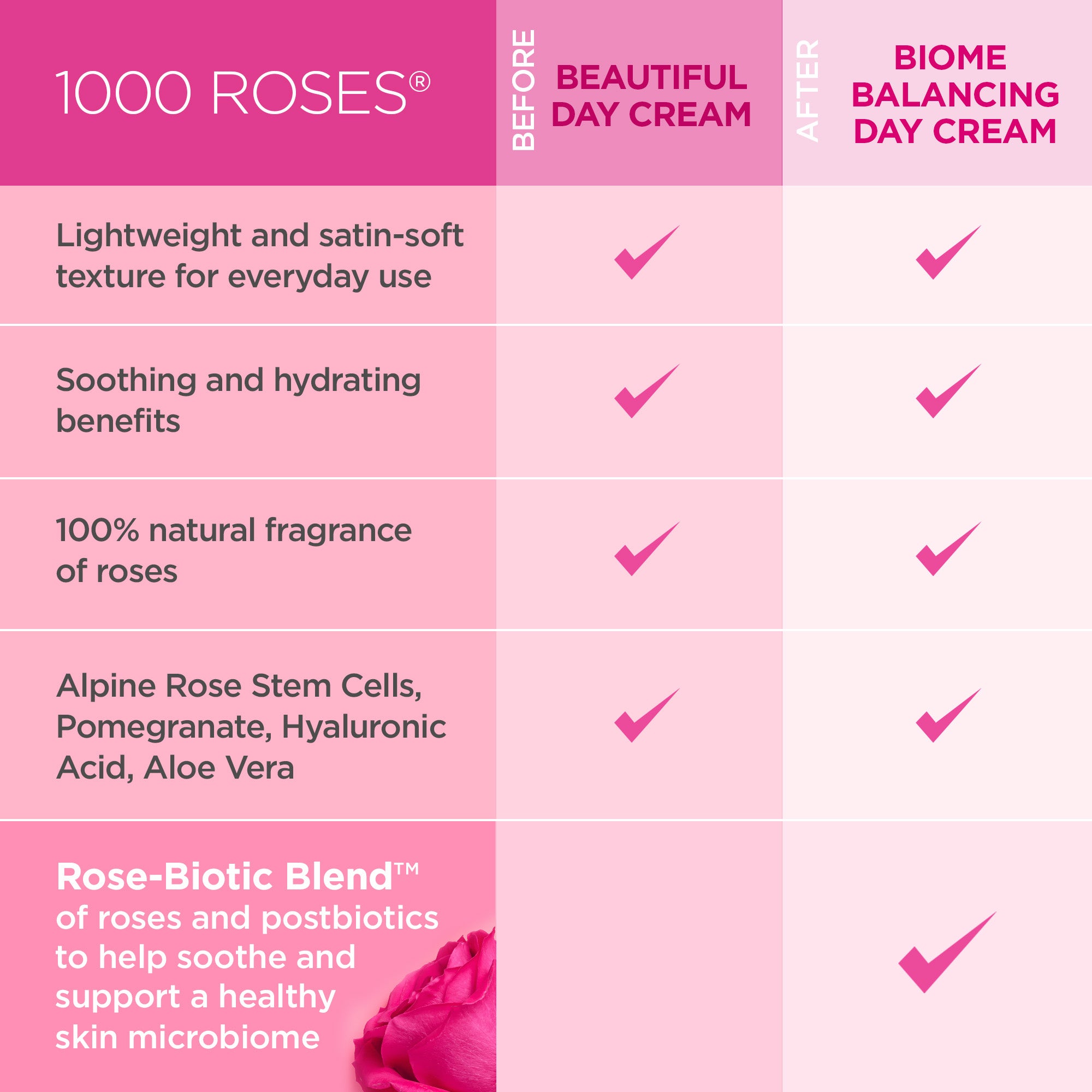 1000 Roses Biome Balancing Day Cream - Andalou Naturals