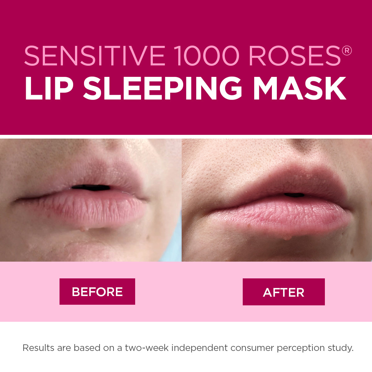1000 Roses Lip Sleeping Mask - Andalou Naturals US