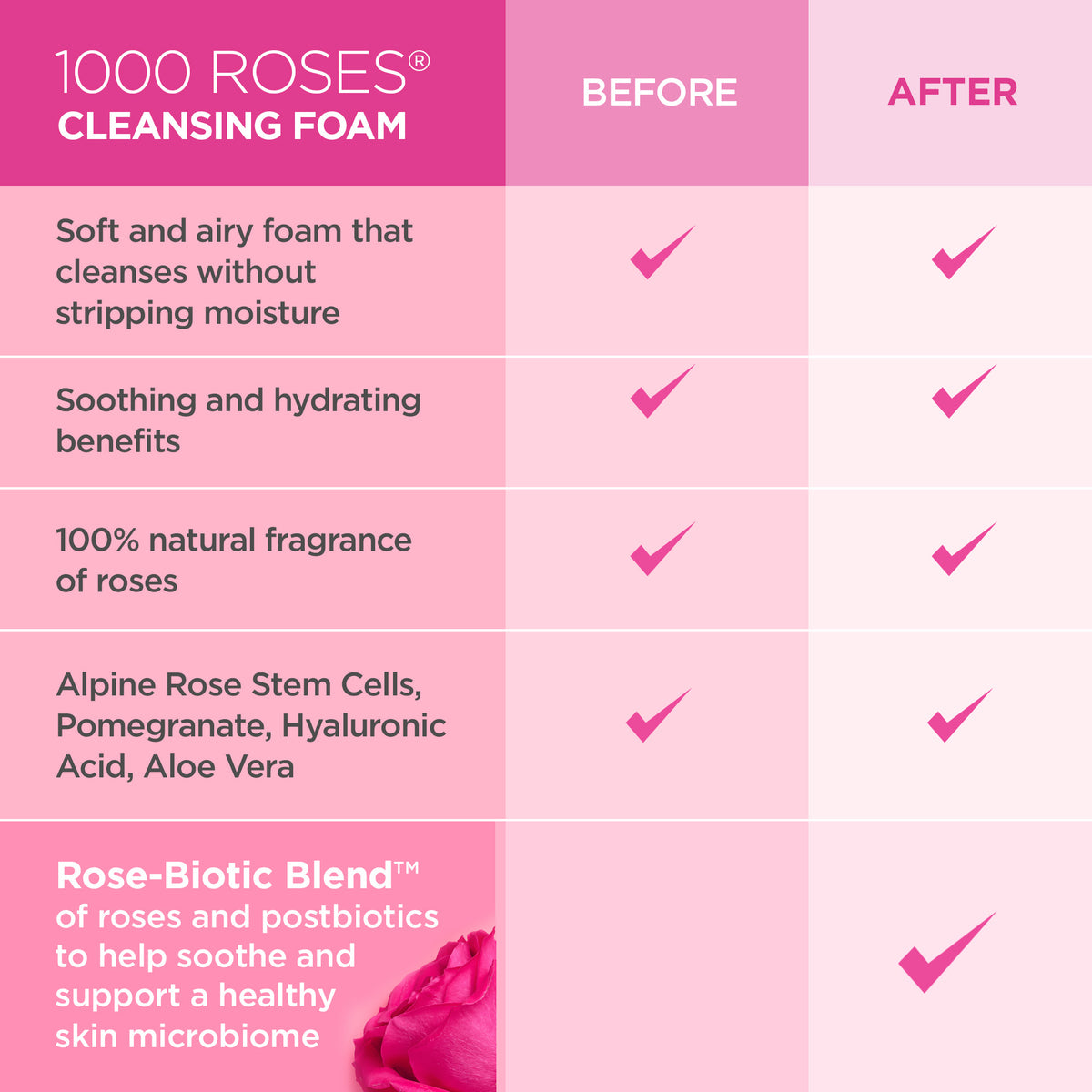 1000 Roses Gentle Cleansing Foam - Andalou Naturals US