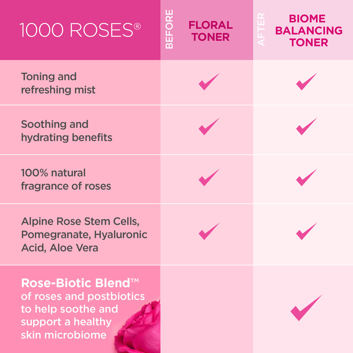 1000 Roses Biome Balancing Toner - Andalou Naturals US